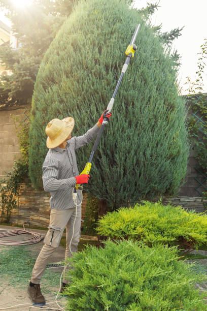 Best Landscape Design and Installation  in West Salem, OH